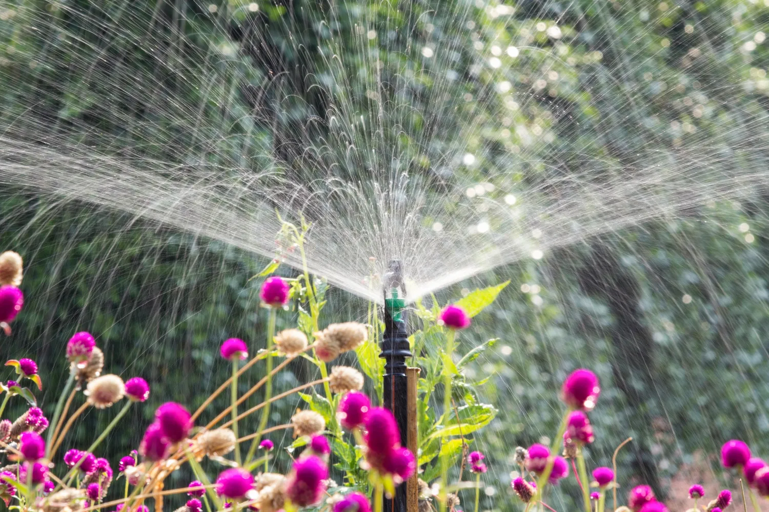 Affordable Expert Drainage Services in Azle , TX You Can Depend On