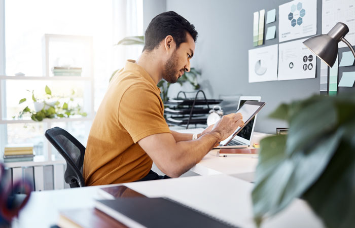 Seo Consultant